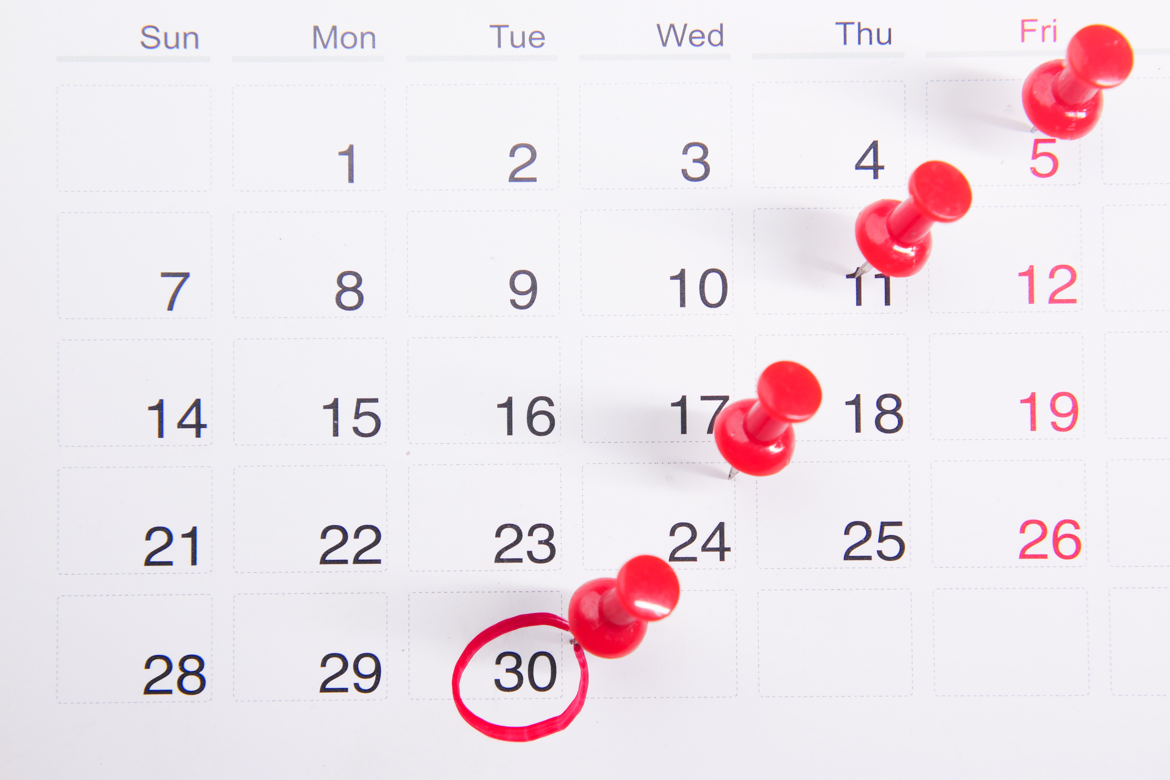 calendar with red thumbtacks in a consistent line
